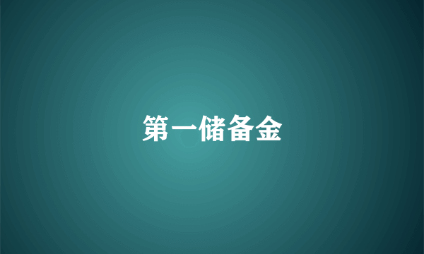 第一储备金