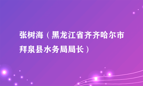 张树海（黑龙江省齐齐哈尔市拜泉县水务局局长）