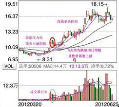 学习炒股网