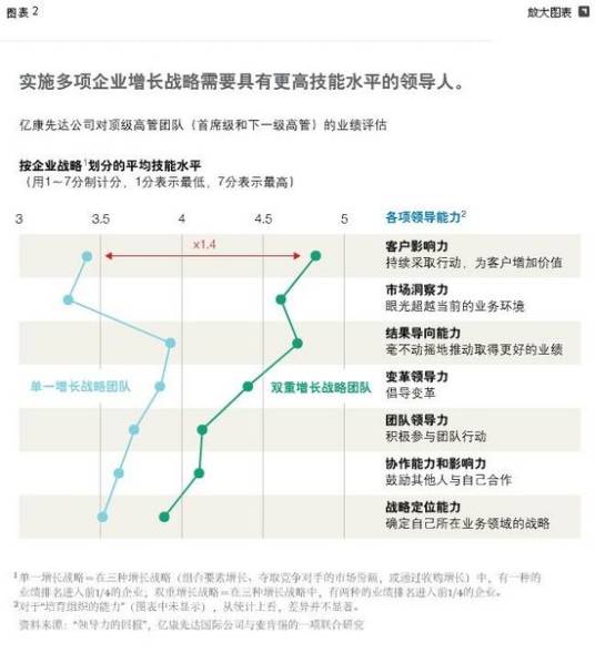 增长型战略