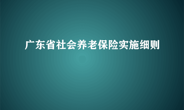 广东省社会养老保险实施细则