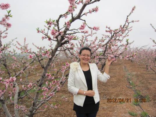 李晨（中国海洋大学经济学院讲师）