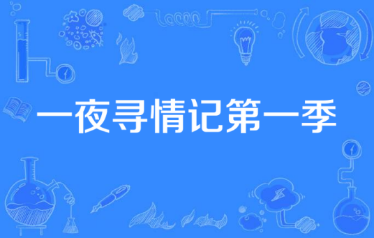 一夜寻情记第一季