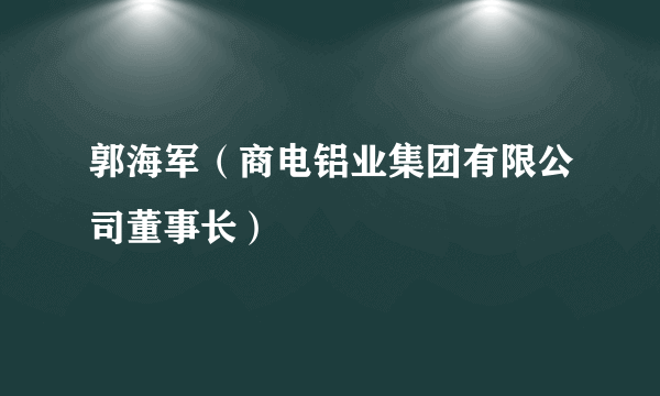 郭海军（商电铝业集团有限公司董事长）