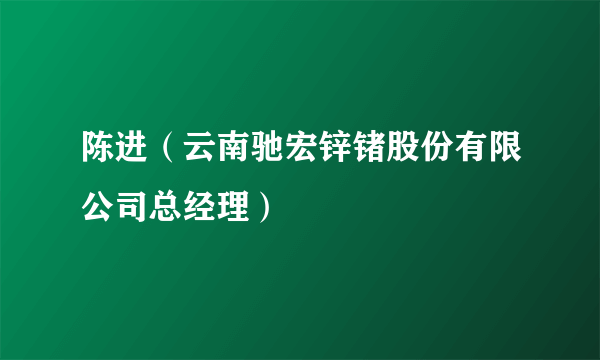 陈进（云南驰宏锌锗股份有限公司总经理）