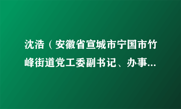沈浩（安徽省宣城市宁国市竹峰街道党工委副书记、办事处主任）