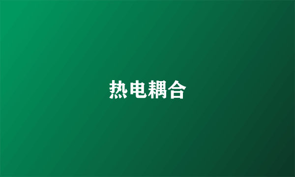 热电耦合