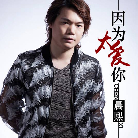 因为太爱你（晨熙演唱的歌曲）