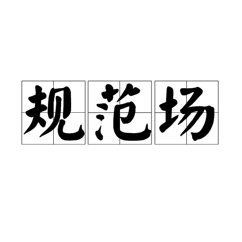 规范场