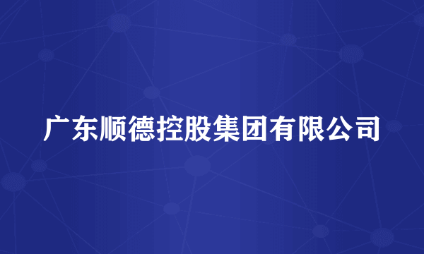 广东顺德控股集团有限公司
