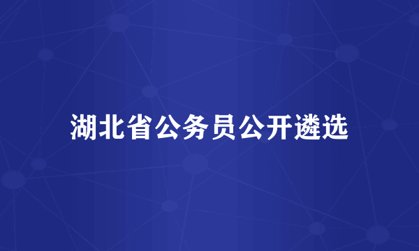 湖北省公务员公开遴选