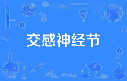 交感神经节