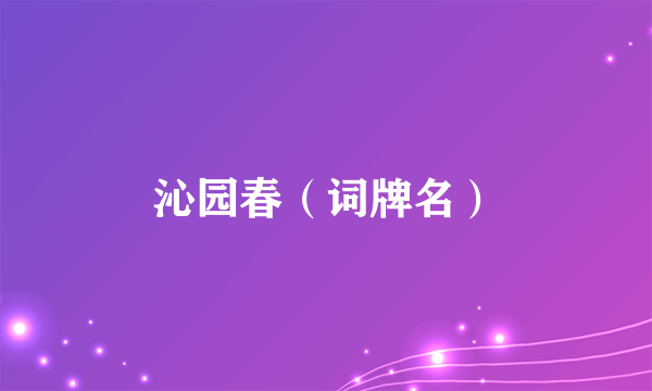 沁园春（词牌名）