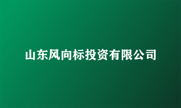 山东风向标投资有限公司