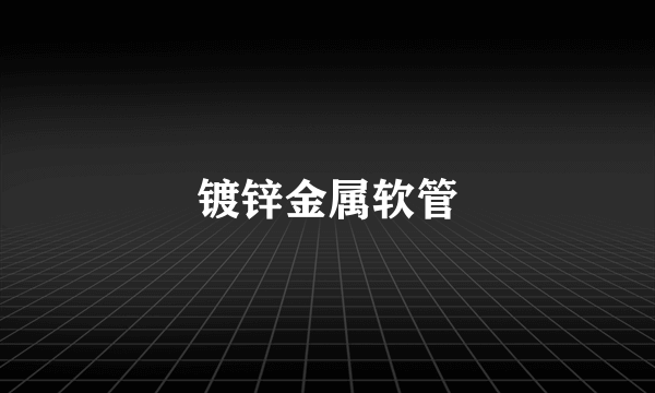 镀锌金属软管