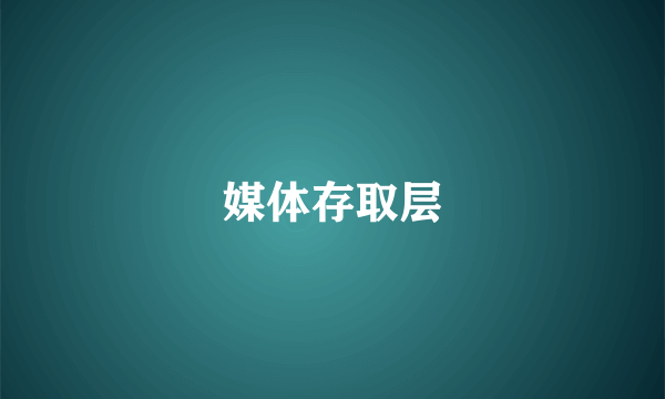 媒体存取层