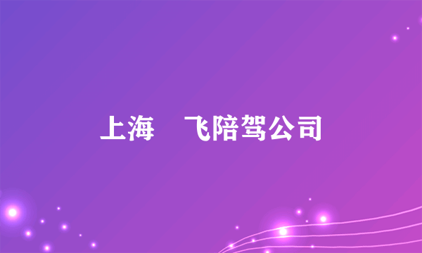 上海珅飞陪驾公司