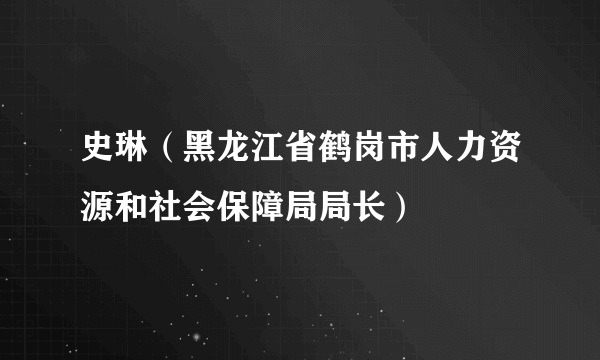 史琳（黑龙江省鹤岗市人力资源和社会保障局局长）