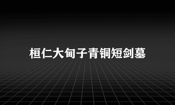 桓仁大甸子青铜短剑墓