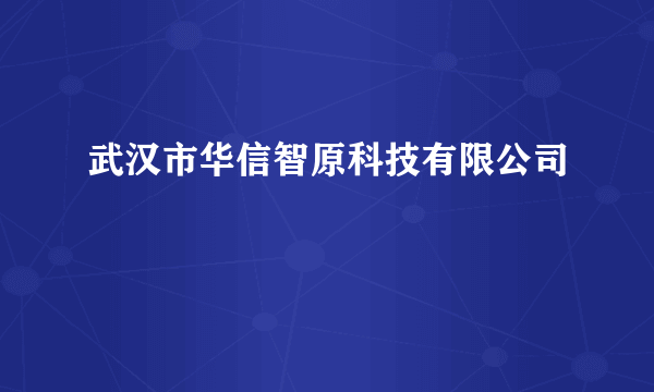 武汉市华信智原科技有限公司