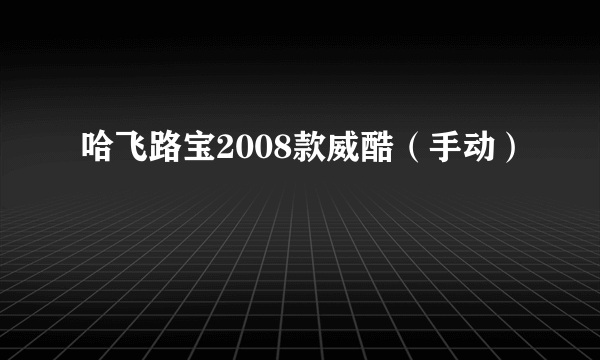 哈飞路宝2008款威酷（手动）