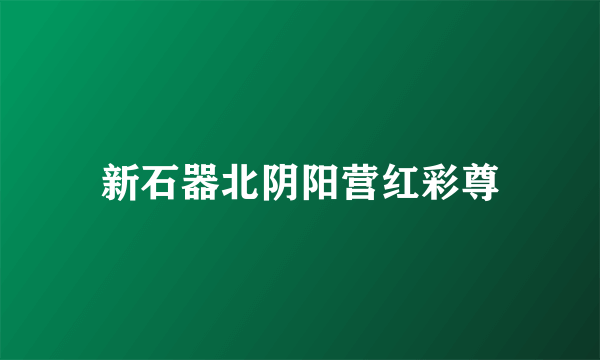 新石器北阴阳营红彩尊