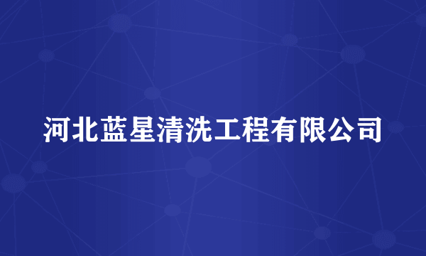 河北蓝星清洗工程有限公司