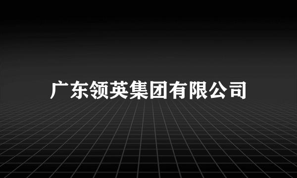 广东领英集团有限公司