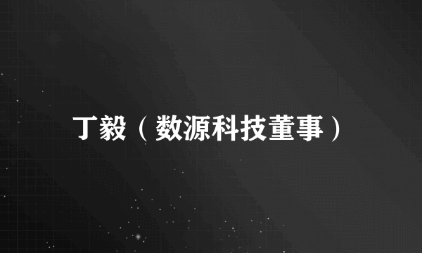 丁毅（数源科技董事）