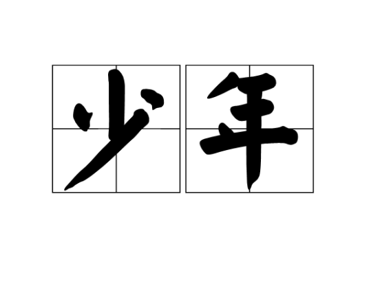少年（汉语词语）