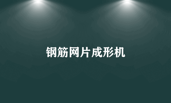 钢筋网片成形机