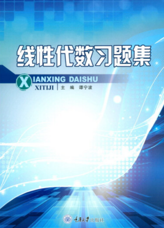 线性代数习题集（2020年重庆大学出版社出版的图书）