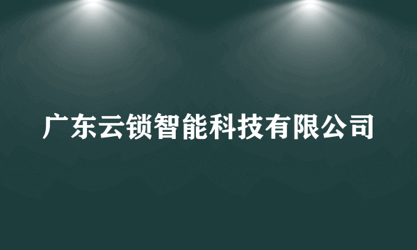 广东云锁智能科技有限公司