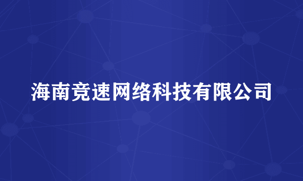 海南竞速网络科技有限公司