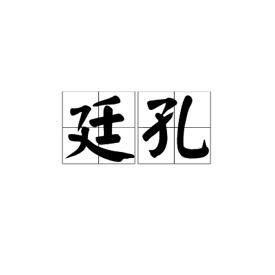 廷孔