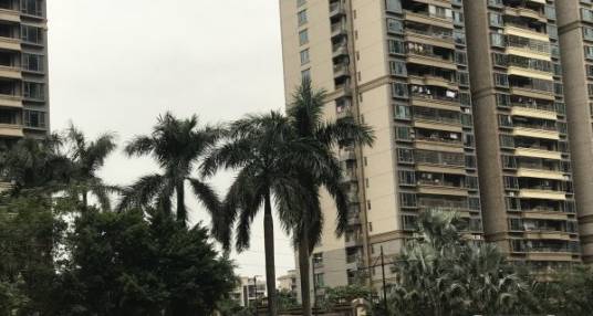 珊瑚湾畔碧湖径