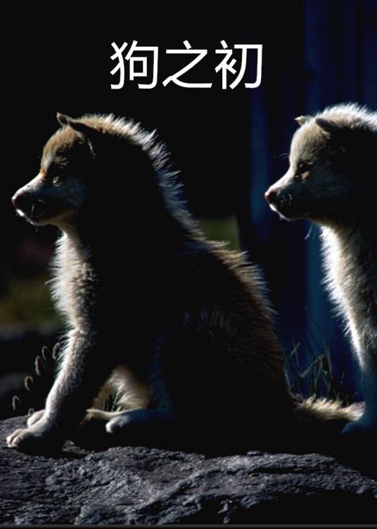 狗之初