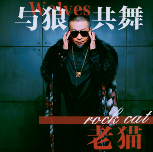 与狼共舞（老猫演唱的歌曲）
