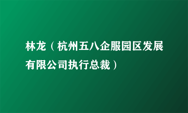 林龙（杭州五八企服园区发展有限公司执行总裁）