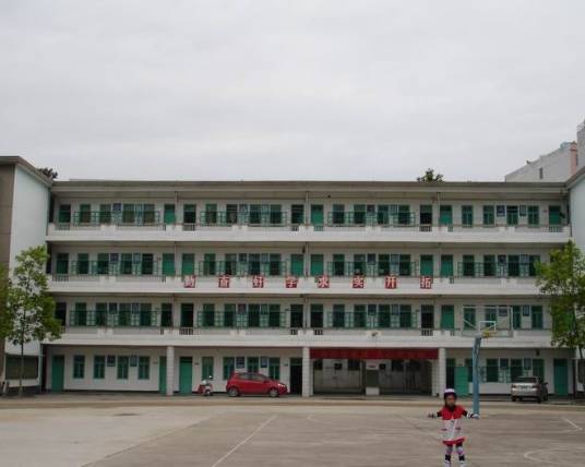 凤新中心小学