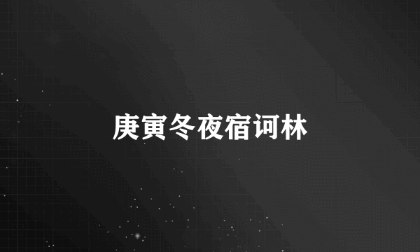 庚寅冬夜宿诃林