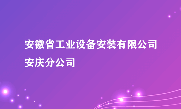 安徽省工业设备安装有限公司安庆分公司