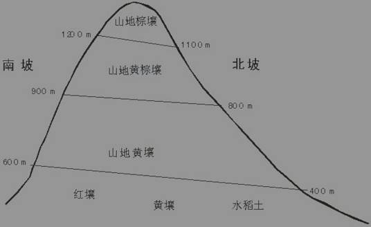 土壤地带性