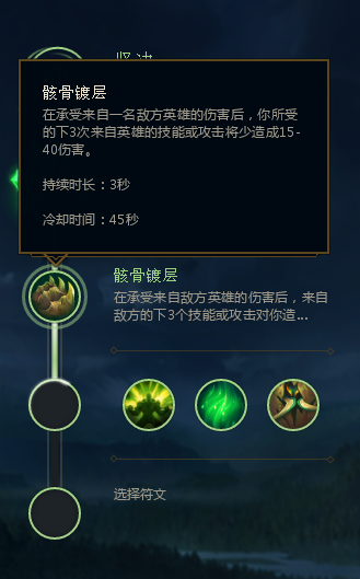 骸骨镀层