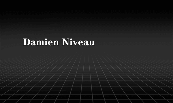 Damien Niveau