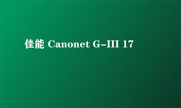 佳能 Canonet G-III 17