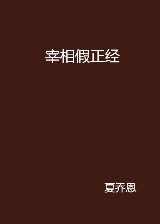 宰相假正经
