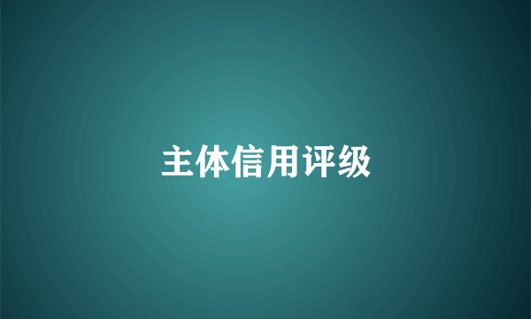 主体信用评级