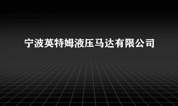 宁波英特姆液压马达有限公司