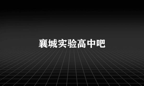 襄城实验高中吧